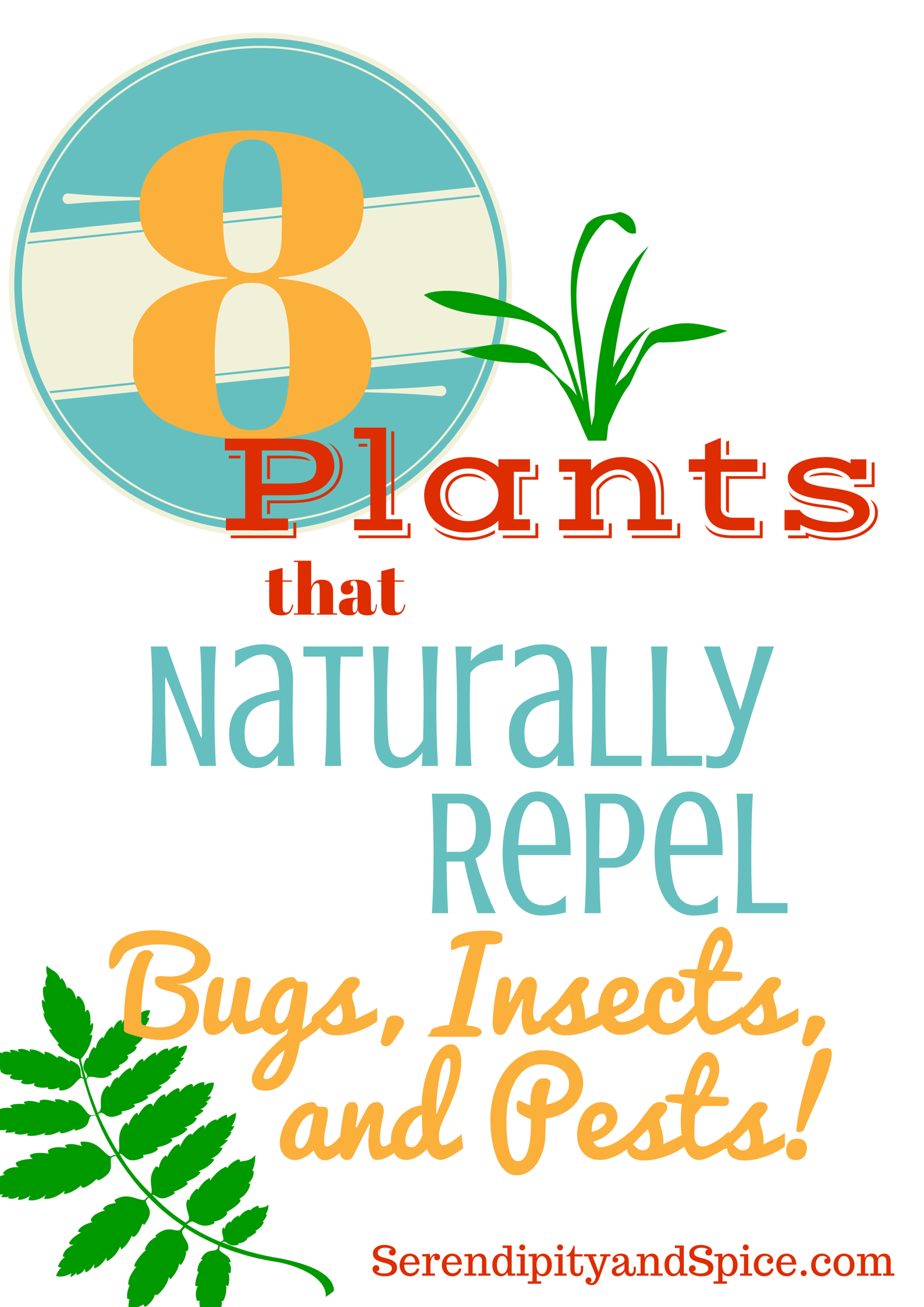 Plants that Repel Pests