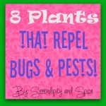 8 Plants to Repel Bugs, Insects, and Pests