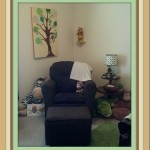 Boy’s Jungle Theme Bedroom Part 2