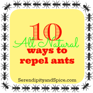 Naturally Repel Ants