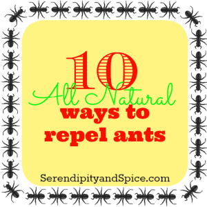 Naturally Repel Ants