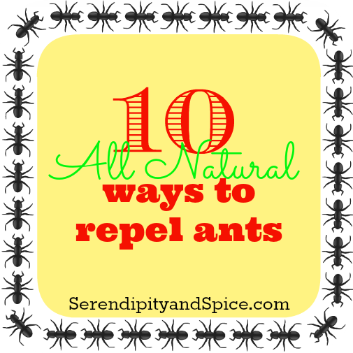 10 natural ways to repel ants