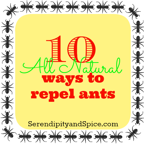 Naturally Repel Ants
