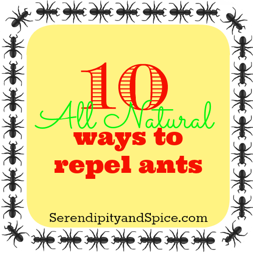 repel ants