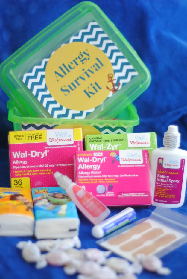 allergy issues survival kit