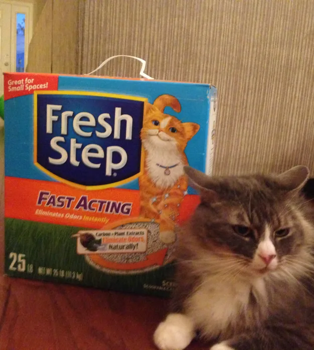 fresh step Keeping Our Fur Babies Happy Part 2 This is a Sponsored post written by me on behalf of Fresh Step and Meow Mix for SocialSpark. All opinions are 100% mine.