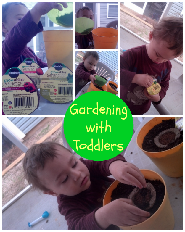 Gardening with Toddlers