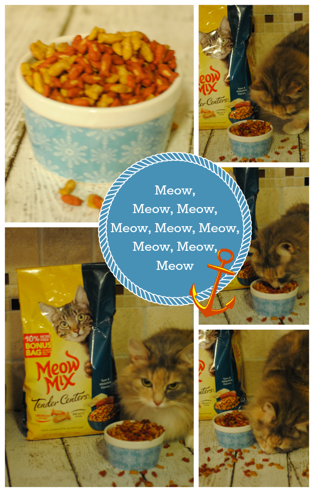 meow Keeping Our Fur Babies Happy Part 2 This is a Sponsored post written by me on behalf of Fresh Step and Meow Mix for SocialSpark. All opinions are 100% mine.
