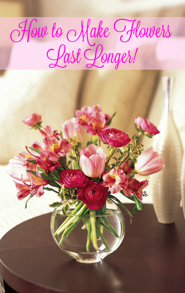 How to Make Flowers Last Longer in a Vase!
