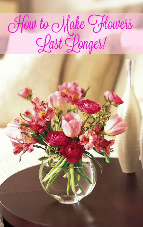 Terrific Tip Tuesday How To Make Flowers Last Longer In A Vase