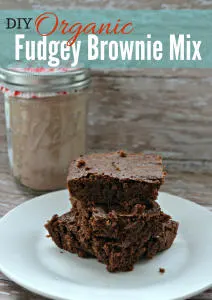 BEST Organic Brownies Recipe