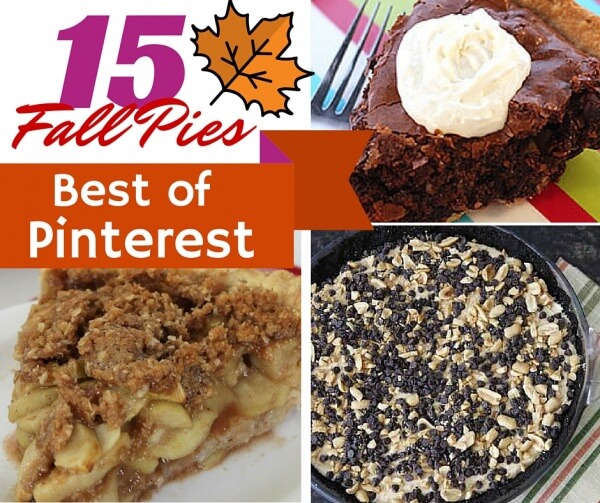 Best Fall Pies Recipes