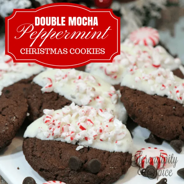 Double Chocolate Mocha Peppermint Cookie Recipe