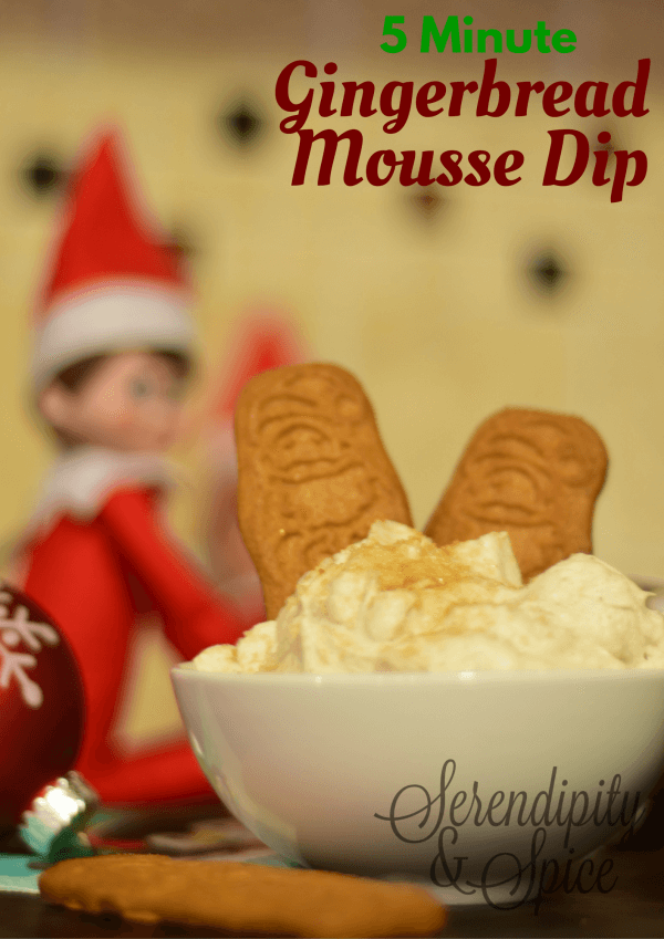 5 Minute Gingerbread Mousse Dip Recipe