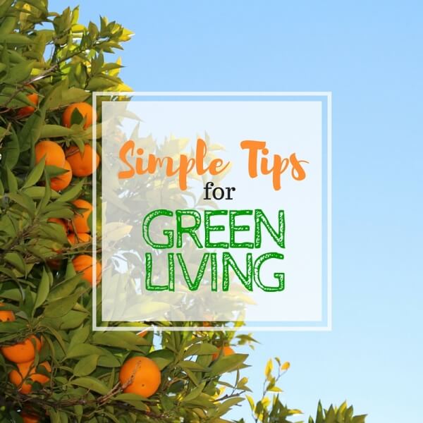 Simple Tips for Green Living