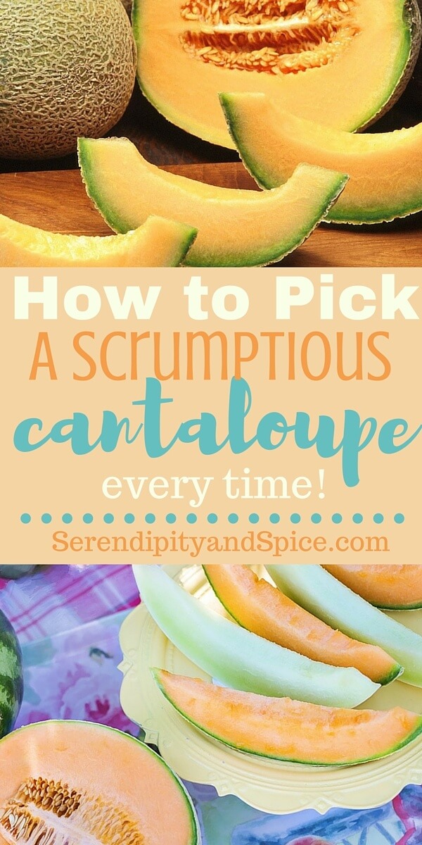 How to Pick a Cantaloupe