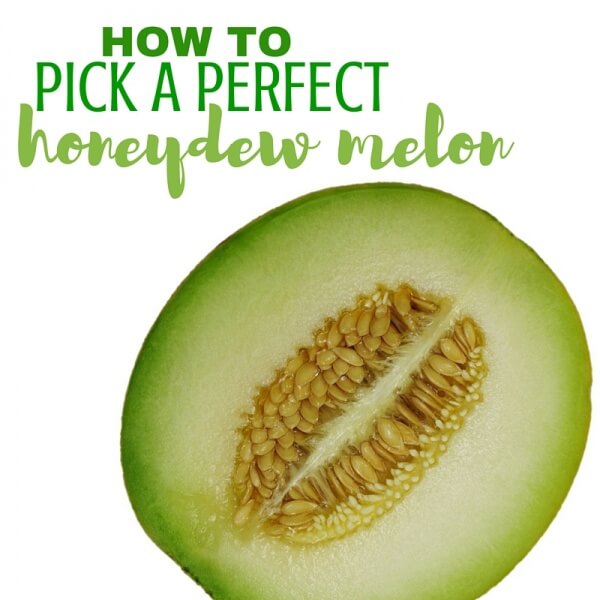 How to Pick a Perfect Honeydew Melon