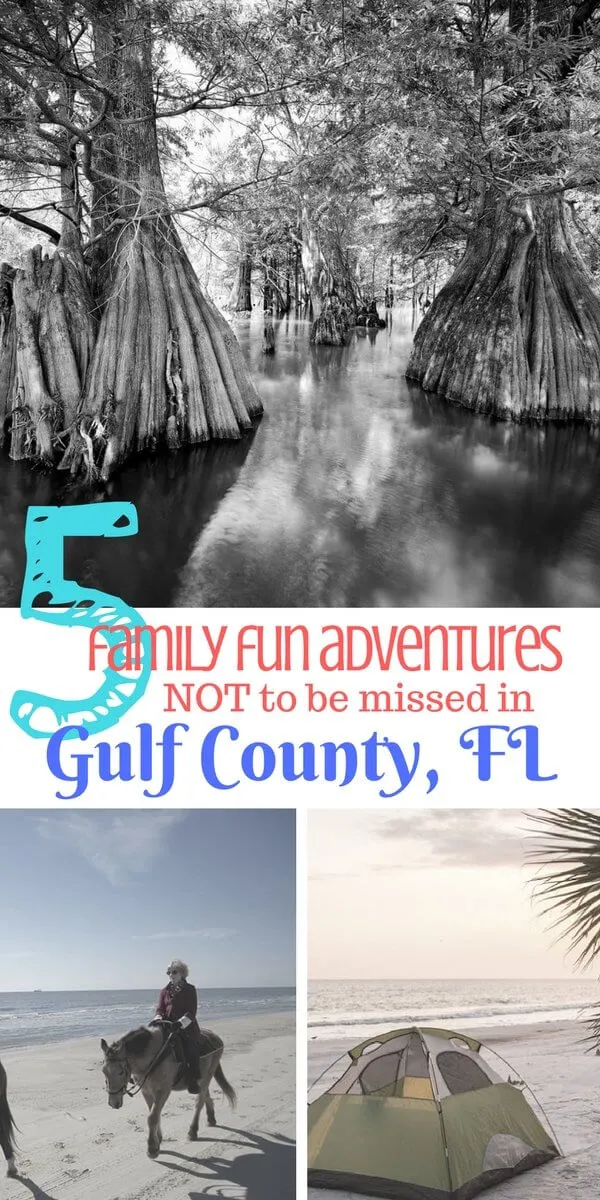 gulf county