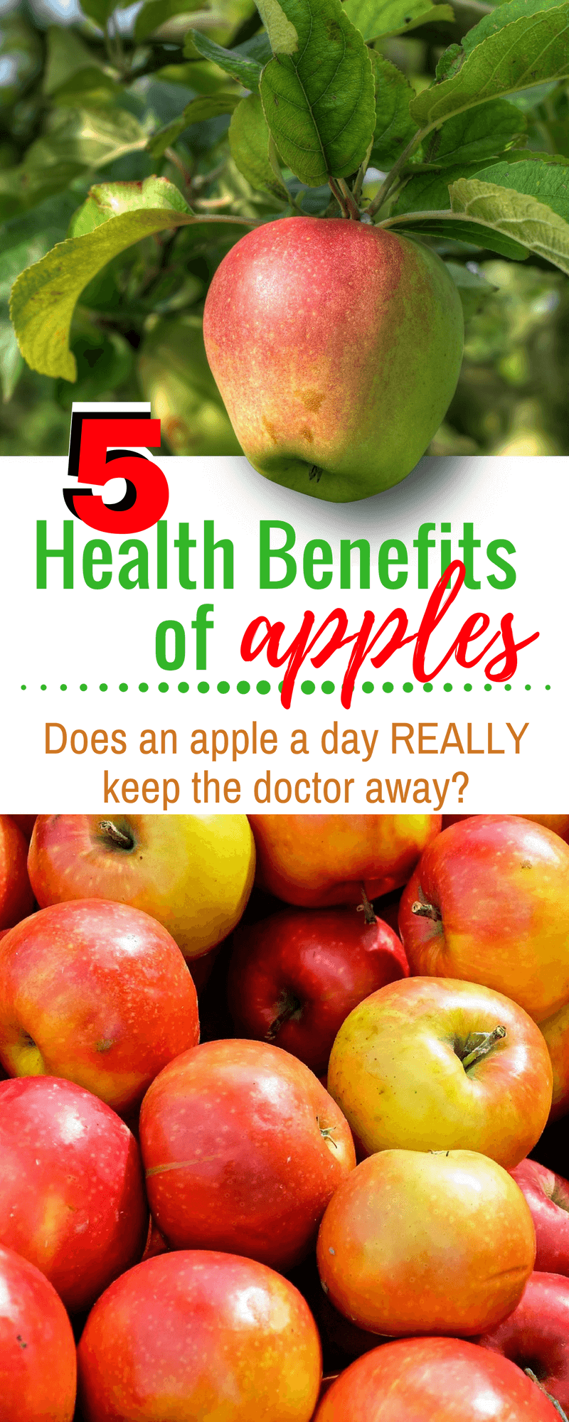 Health Benefits Of Apples Serendipity And Spice 5869