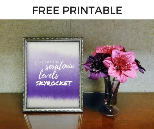 Free Printable - You Make My Seratonin Levels Skyrocket
