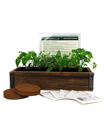 41lYcnBA4UL Reclaimed Barnwood Mini Herb Garden Reclaimed Barnwood Planter Box Mini Herb Garden Kit