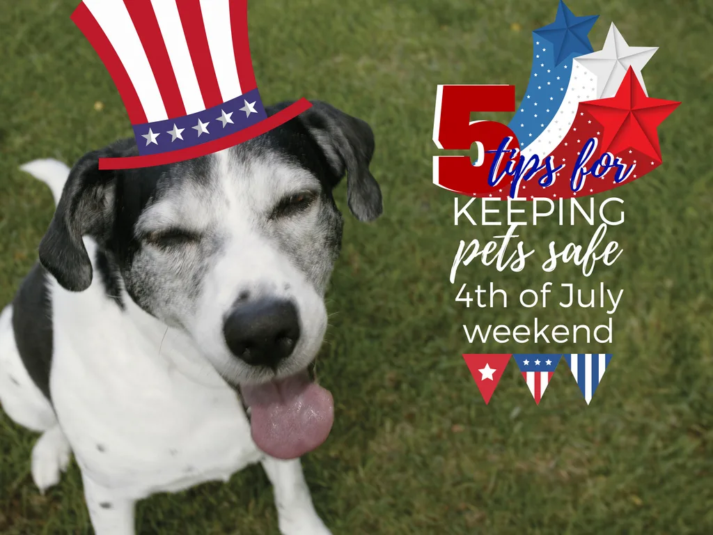 ways to keep pets safe during fireworks