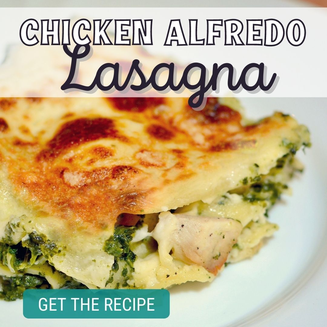 chicken alfredo lasagna