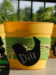 Grow Your Own Herb Garden- No Experience Necessary! #MiracleGroProject