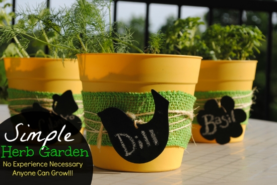 Grow Your Own Herb Garden- No Experience Necessary! #MiracleGroProject