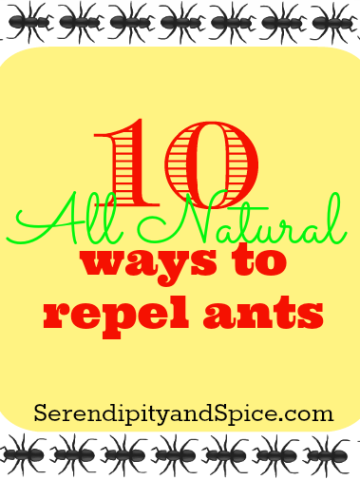 10 All Natural Ways to Repel Ants