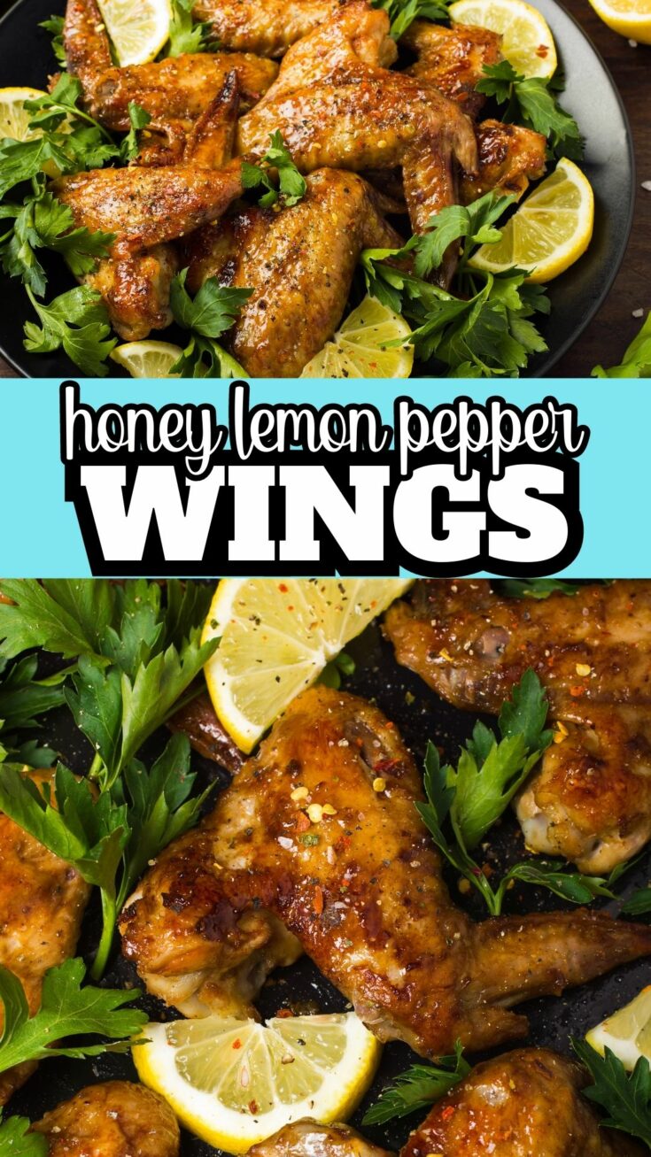honey lemon pepper wings 1 The BEST Honey Lemon Pepper Wings Savor the delightful interplay of sweet, tangy, and spicy with our Honey Lemon Pepper Wings. Each bite of these perfectly baked chicken wings bursts with the natural sweetness of honey, the refreshing zest of lemon, and the subtle heat of pepper. A beautiful golden brown from the caramelized honey, these wings offer an enticing aroma and a finger-licking good taste that keeps you coming back for more.