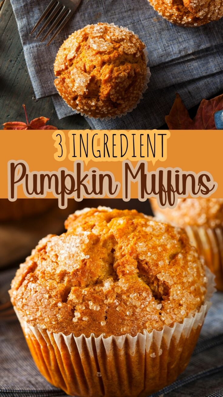 3 ingredient pumpkin muffins 1 Pumpkin Spice Cake Mix Muffins These AMAZING Pumpkin Spice Cake Mix Muffins are so simple and delicious! Using just 3 ingredients, you'll have the perfect fall treat ready in under 30 minutes!