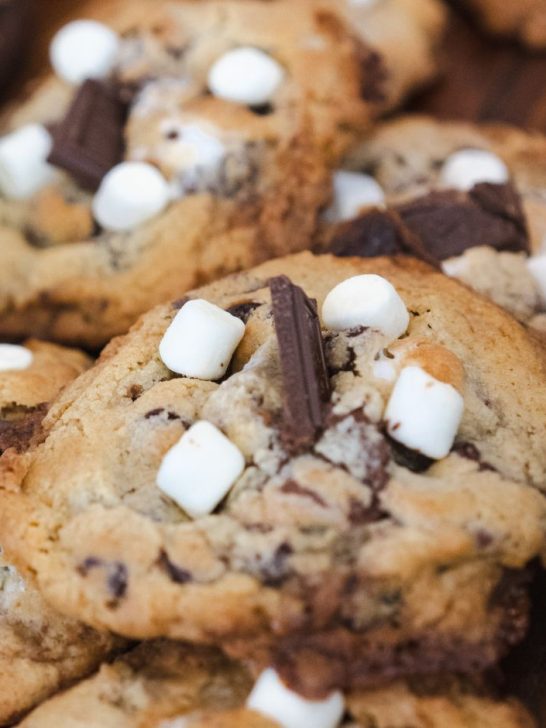 Amazing Chocolate Chip Marshmallow Cookies