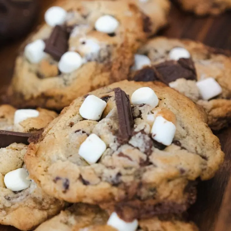 Chocolate Chip Marshmallow Cookies