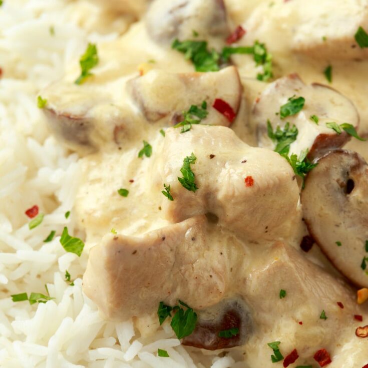 Chicken and Rice Crock Pot Recipe