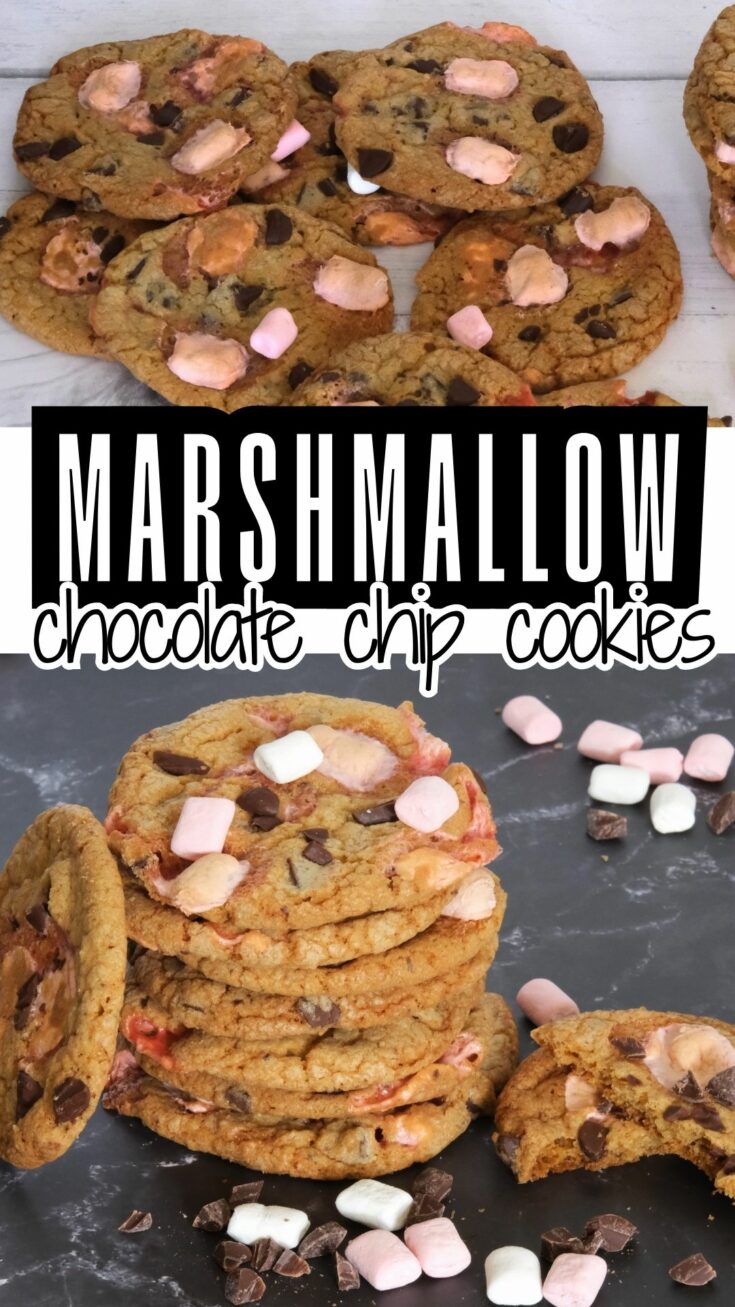 marshmallow chocolate chip cookies 1 Amazing Chocolate Chip Marshmallow Cookies Master the art of baking with our delicious and easy-to-follow Marshmallow Chocolate Chip Cookies Recipe. Dive into this guide for a step-by-step walkthrough to the most irresistible, gooey, and flavorful cookies you'll ever make at home. Perfect for all occasions!