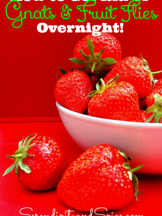 How to Get Rid of Gnats and Fruit Flies Overnight