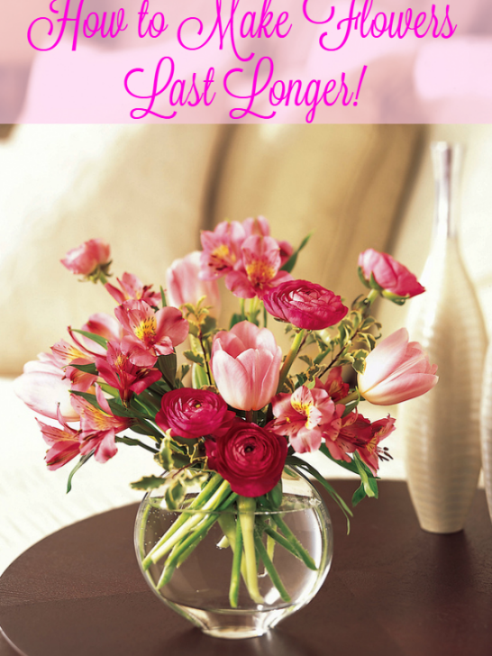 How to Make Flowers Last Longer in a Vase!