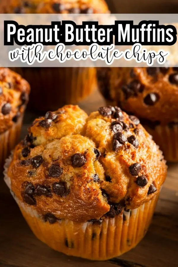 Chocolate Peanut Butter Muffins Recipe