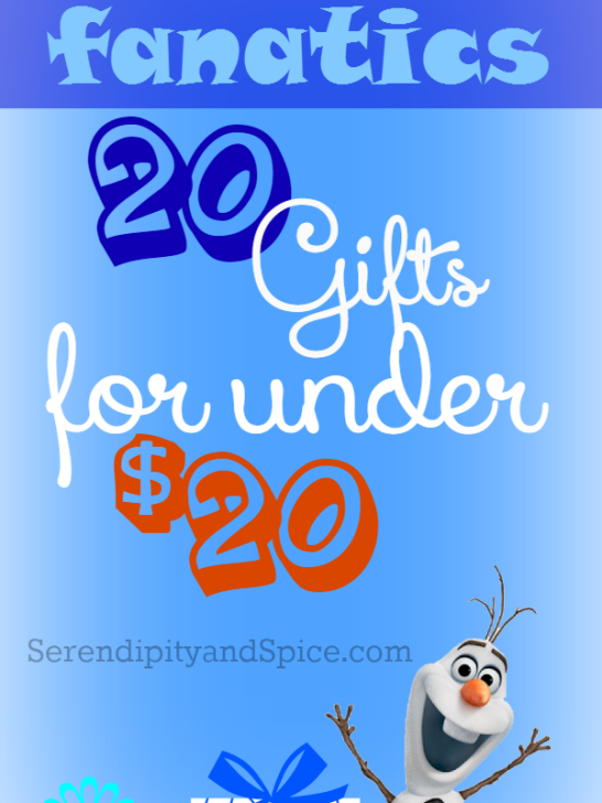 Top 20 Frozen Gifts Under $20