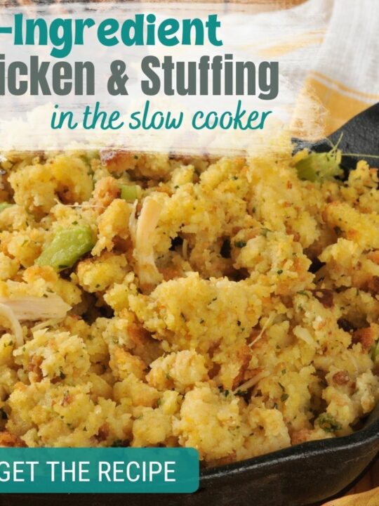 4-ingredient slow cooker chicken with stuffing