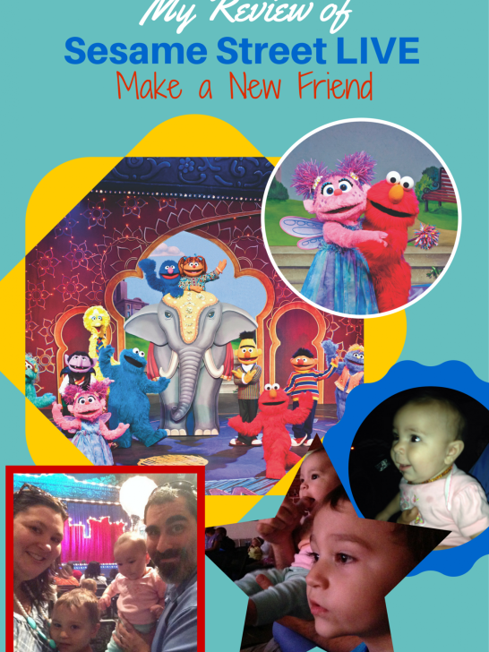 Review of Sesame Street Live