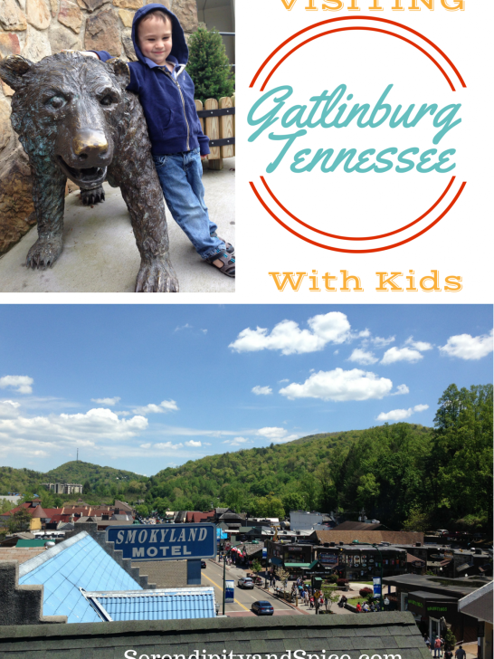 Visiting Gatlinburg TN with Kids