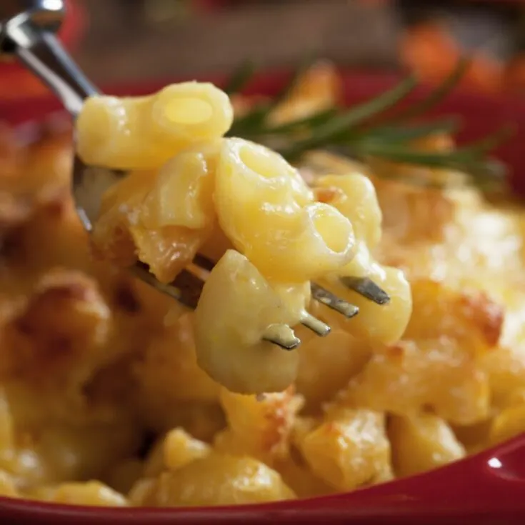 Copycat Chick-fil-A Mac and Cheese Recipe