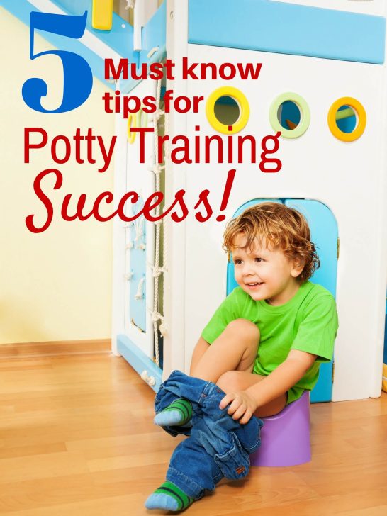 5 Must Know Potty Training Tips for Success