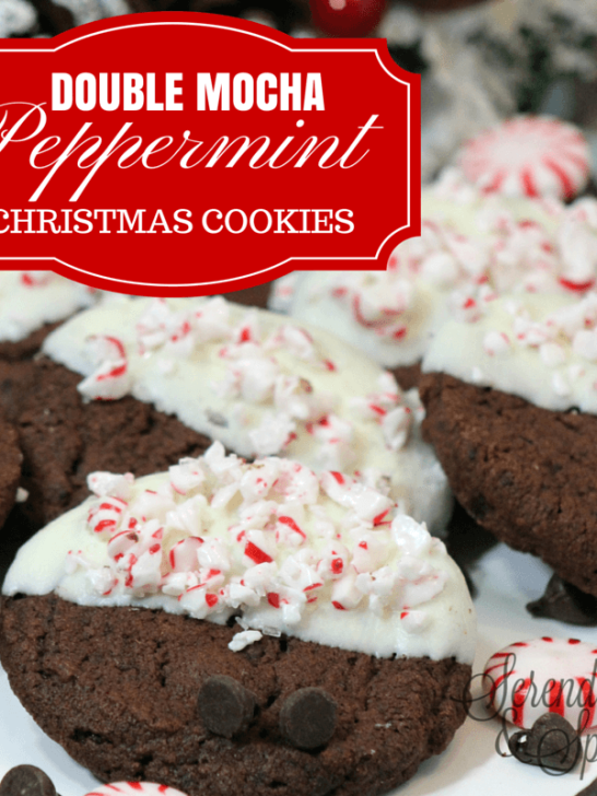 Double Chocolate Mocha Peppermint Cookie Recipe