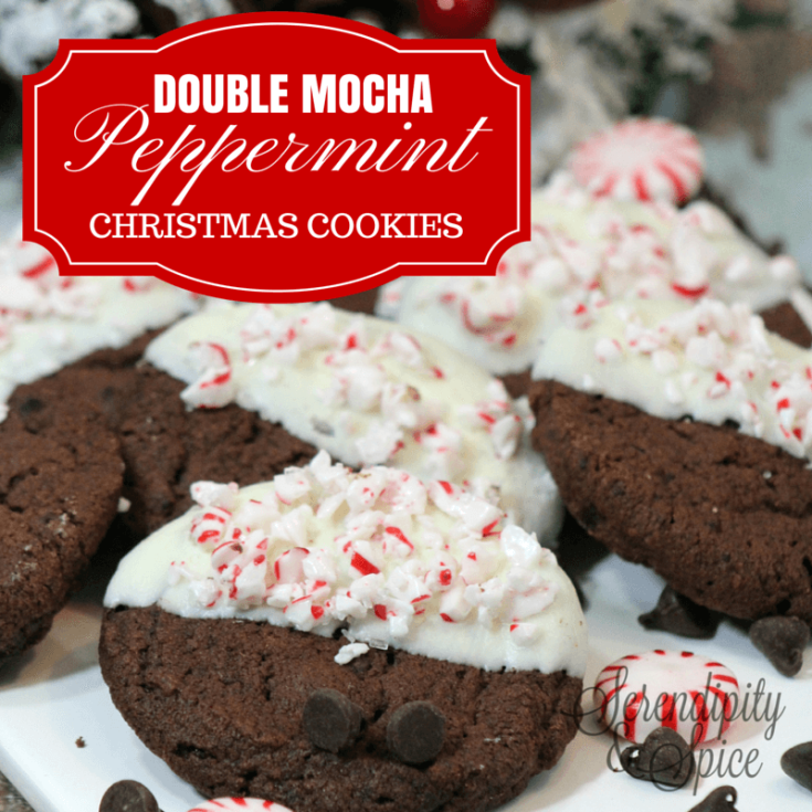 Double Chocolate Mocha Peppermint Cookie Recipe