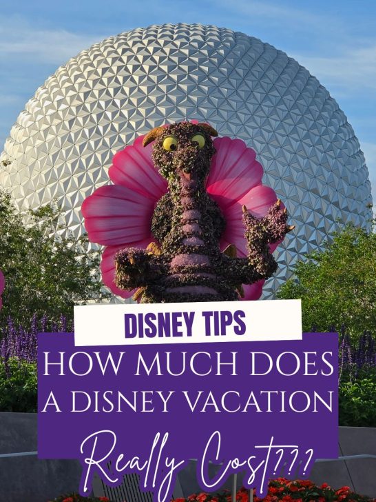 What does a Disney vacation cost