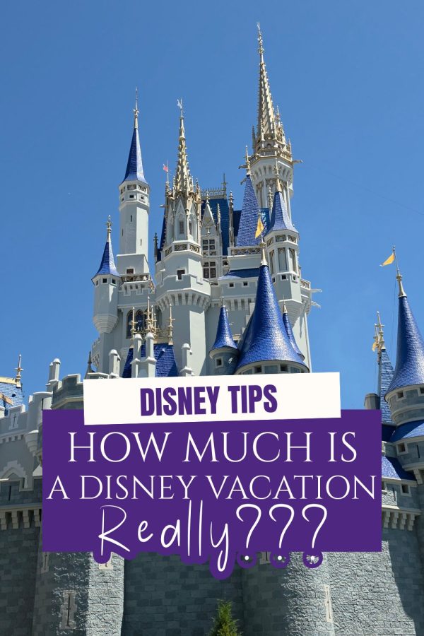 How Much a Disney World Vacation Costs 2 How Much a Disney World Vacation Costs how much is a disney vacation 1 How Much a Disney World Vacation Costs Are you wondering how much a Disney World vacation costs? And I'm not talking just about theme park tickets but the full fledge submerged into all things Disney for a week kind of vacation. It's actually more affordable than you think!window.addEventListener('LPLeadboxesReady',function(){LPLeadboxes.addDelayedLeadbox('qzYRHtSA8KUgEGk8AAa54m',{delay:'30s',views:0,dontShowFor:'1d',domain:'serendipityandspice.lpages.co'});});
