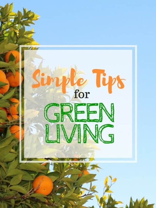 Simple Tips for Green Living